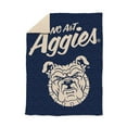 thumbnail image 1 of Logo Brands North Carolina A&T Aggies Luxe Dreams Throw, 60" x 80", 1 of 6