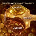 thumbnail image 5 of Garnier Whole Blends Honey Treasures Conditioner, 40 fl. oz., 5 of 9