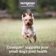 thumbnail image 4 of Nutramax Cosequin Minis Maximum Strength Joint Health Supplement, 45 Soft Chews, 4 of 10