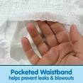 thumbnail image 4 of Member's Mark Premium Baby Diapers, Sizes Newborn - 7, 4 of 9