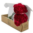 thumbnail image 3 of Member's Mark Carnations, Choose color and stem count, 3 of 7