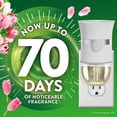 thumbnail image 3 of Air Wick Plug In Scented Oil Air Freshener, Sweet Tulip Petals, 1 warmer + 6 refills, 3 of 11