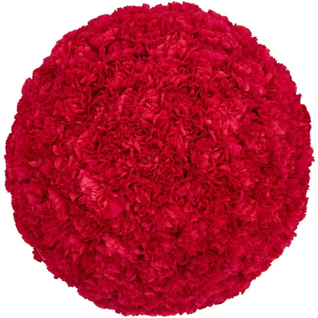Member's Mark Carnations, Choose color and stem count
