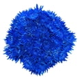 thumbnail image 1 of Member's Mark Painted Mums,  choose color and stem count, 1 of 6