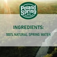 thumbnail image 3 of Poland Spring 100% Natural Spring Water 1 L., 15 pk., 3 of 8