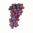thumbnail image 2 of Gum Drops Grapes, 3 lbs., 2 of 2