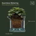 thumbnail image 4 of Mayne Nantucket Window Box, Choose Size, 4 of 10
