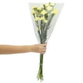 thumbnail image 2 of Member's Mark Mini Carnations, Choose color and stem count, 2 of 6