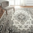 thumbnail image 1 of Home Dynamix Premium Sakarya Traditional Medallion Area Rug, Various Sizes, Assorted Sizes and Designs, 1 of 10