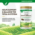 thumbnail image 4 of NaturVet, Advanced Probiotics and Enzymes Soft Chews for Dogs, 240 ct., 4 of 9