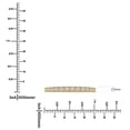 thumbnail image 4 of Round Cut Lab Created Diamond Eternity Band in 18K Yellow Gold, 4 of 4