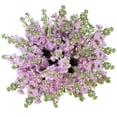 thumbnail interactive-video image 1 of Member's Mark Stock, 100 stems, choose color, 1 of 7