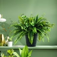 thumbnail image 3 of Faux 26" Fern and Eucalyptus Mix in Black Plastic Pot, 3 of 7