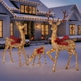thumbnail image 1 of Member's Mark 3-Piece Pre-Lit Animated Deer Family, 1 of 6