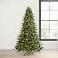 thumbnail image 1 of Member's Mark 7.5' Augusta Pine Pre-Lit Christmas Tree, 1 of 9