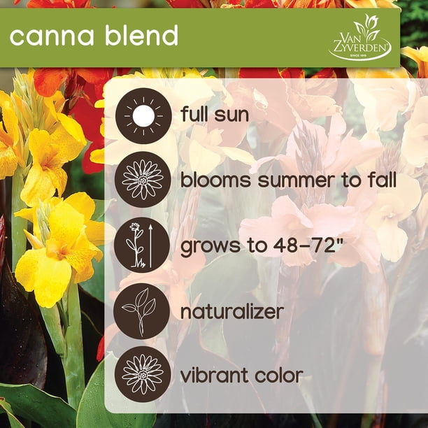 Member's Mark Canna Blend Dormant Bulbs, 9pk - Samsclub.com