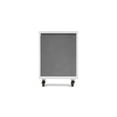 thumbnail image 4 of NewAge Products Pro Series Mobile Utility Cart, 24" W x 20.5" D x 34.25" H, 4 of 11