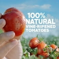 thumbnail image 3 of Hunt's Tomato Sauce (15 oz. 12 ct.), 3 of 6
