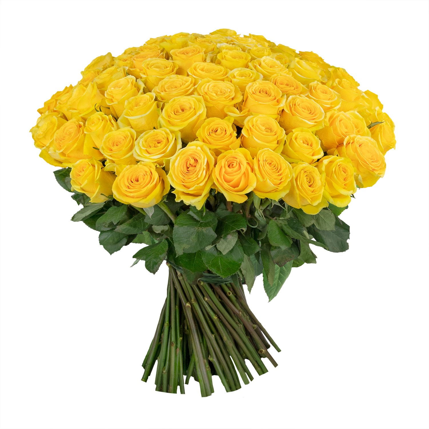 Member's Mark Rose Vase Arrangement, 100 stems, choose color