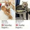 thumbnail image 4 of Cats Page-A-Day 365 2026 Calendar, 4 of 5