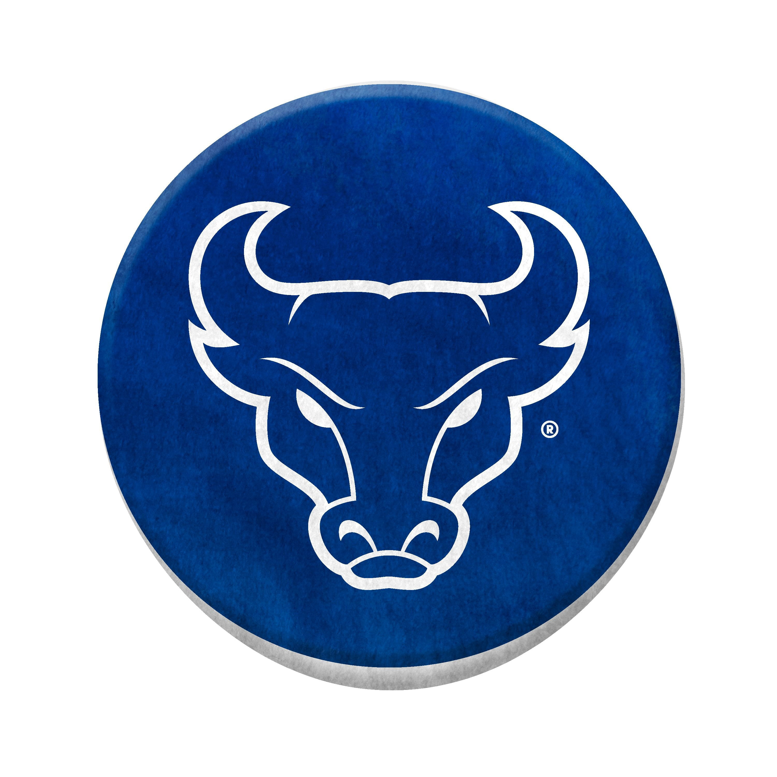Logo Brands Buffalo Bulls Puff Pillow