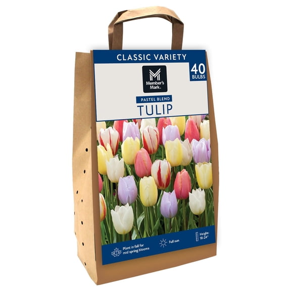 Member's Mark Tulip Pastel Blend Dormant Bulbs, 40pk