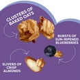 thumbnail image 5 of Kashi Blueberry Almond Granola, 27 oz., 5 of 9