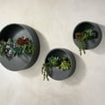 thumbnail image 1 of Member's Mark Wall Mounted Planter, Set of 3, 1 of 3