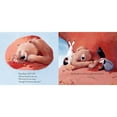 thumbnail image 3 of Bear Stays Up for Christmas, Hardcover, 3 of 4