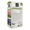 thumbnail image 2 of Member's Mark Wisteria & Hydrangea Wisteria Purple & Hydrangea Peegee Pink Dormant Bulbs, 2pk, 2 of 9
