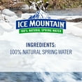 thumbnail image 3 of Ice Mountain 100% Natural Spring Water 16.9 fl. oz. 40 pk., 3 of 9