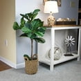 thumbnail image 5 of Faux 30" Fig Tree in Woven Basket, 5 of 6