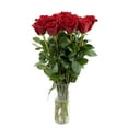 thumbnail image 4 of Member's Mark Roses, choose color variety and stem count, 4 of 7
