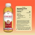 thumbnail image 2 of SYNERGY The Real Kombucha, Honeycrisp Apple, 16 fl. oz., 6 pk., 2 of 6