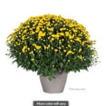 thumbnail image 2 of MUM PLANTER ., 2 of 6