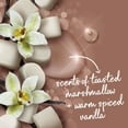 thumbnail image 4 of Dove Liquid Hand Wash Holiday Treats Variety Pack, 12 oz., 3pk., 4 of 14