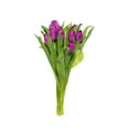 thumbnail image 2 of Member's Mark Tulips, 50 stems, 2 of 3