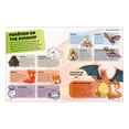 thumbnail image 4 of Pokémon Horizons Visual Companion by DK, Trade Paperback, 4 of 4