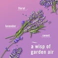 thumbnail image 7 of Febreze Plug Air Freshener, Twilight Lavender + Linen & Sky, 5 refills, 4.35 fl. oz., 7 of 10