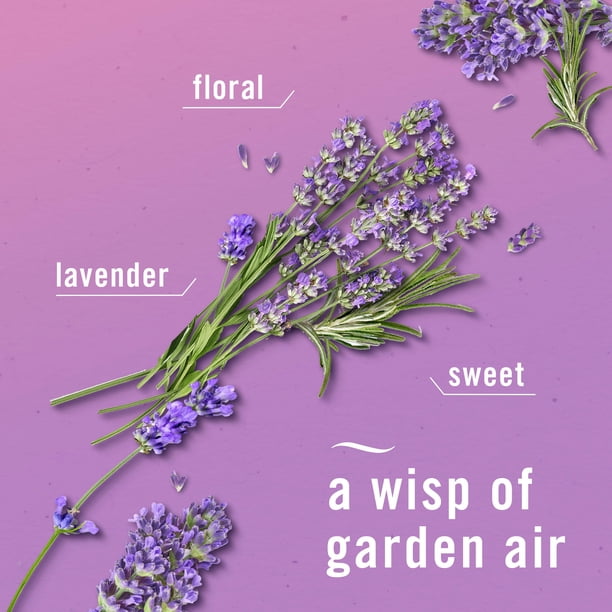 Febreze Plug Air Freshener, Twilight Lavender + Linen & Sky, 5 refills,  4.35 fl. oz. - Samsclub.com
