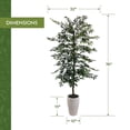 thumbnail image 3 of Artificial 6.5' Olive Tree in a White Ceramic Planter, 3 of 3