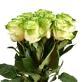 thumbnail image 5 of Member's Mark Illusion Roses, 12 stems, 5 of 5