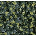 thumbnail image 1 of Select Surfaces Artificial Hedge Panels, 2-Pack, Choose Type, 1 of 7