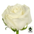 thumbnail image 1 of Member's Mark Fair Trade Roses, 75 stems, Choose color variety, 1 of 5