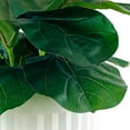 thumbnail image 2 of Artificial Premium Fiddle Leaf Fig Plant in Off White Pot, 2 of 5