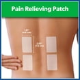 thumbnail image 3 of Salonpas Pain-Relieving Patch, 140 ct., 3 of 6