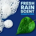 thumbnail image 8 of Dawn Platinum Dishwashing Liquid Dish Soap, Refreshing Rain 90 fl. oz., 8 of 9
