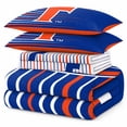 thumbnail image 2 of Logo Brands Florida Queen Bed-In-A-Bag Set, 2 of 5