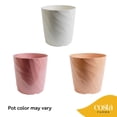 thumbnail image 2 of Costa Farms 10" ZZ Tropical Plant in Decorative Pot, 2 of 9