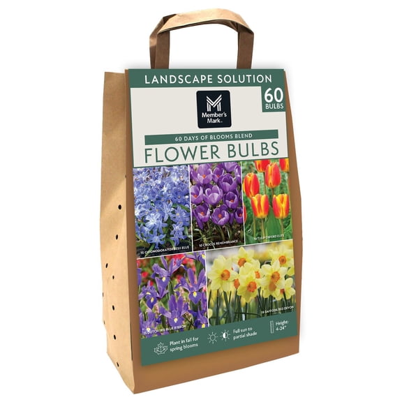 Member's Mark 60 Days of Blooms Chionodoxa, Crocus, Daffodil, Tulip, and Dutch Iris Dormant Bulbs, 60pk